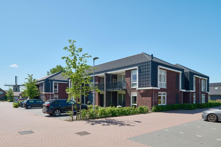 202505 Linguenda Domus DSC 0654