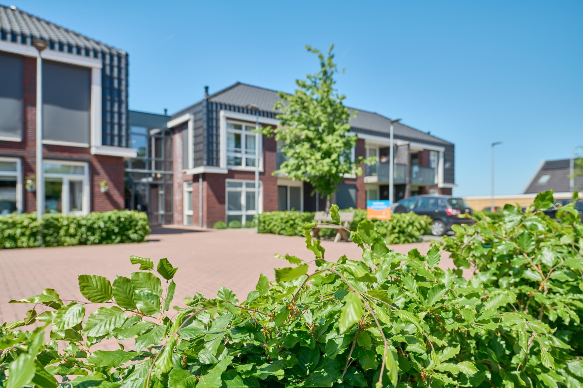 202505 Linguenda Domus DSC 0695