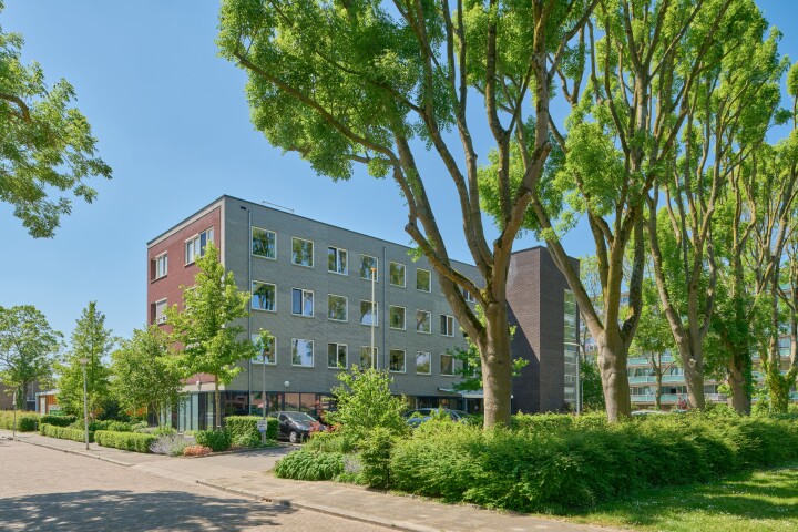 202505 Linguenda Domus DSC 1002